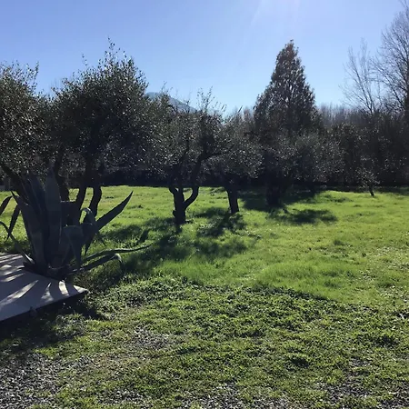 L Olivo Holiday home Lucca